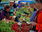 Portland Farmers Market at Deering Oaks Park 2014