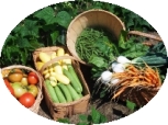 Saco Farmers and Artisans Market 2014