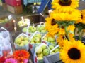Cumberland Farmers Market 2014