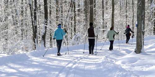 Cross Country Skiing at Pineland Farms - New Gloucester, ME