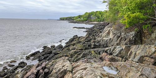 Rocky Shoreline - Camden Hills State Park - Camden, ME - Photo Credit David WIlliams