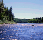 penobsot river corridor