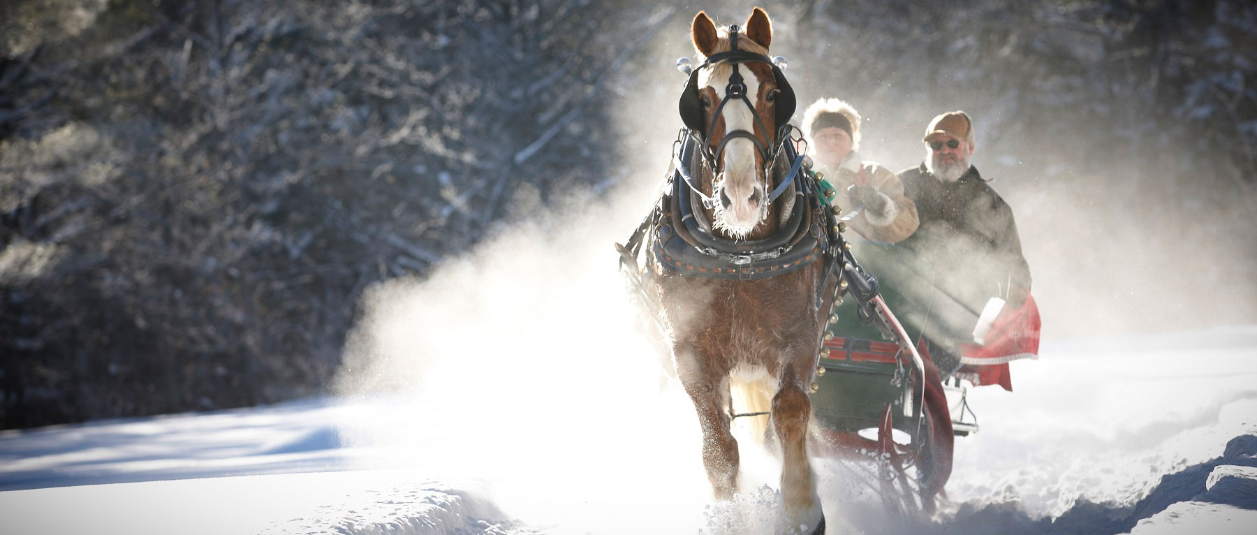 Sleigh Ride in Bethel, ME - Photo Credit Maine Office of Tourism