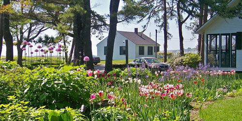 Cottages 500x250 - Dunes on the Waterfront - Ogunquit, ME