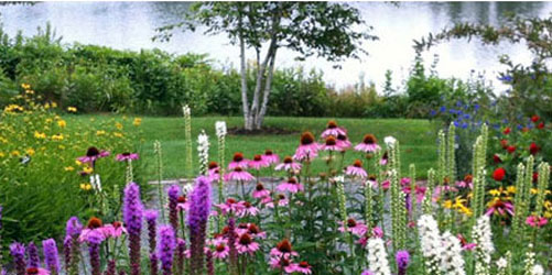 Charlotte Rhoades Park & Butterfly Garden Southwest Harbor maine