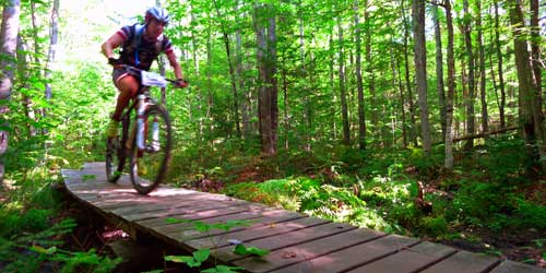 Fall Foliage in Maine - Biking in Bradbury Mountain State Park - Pownell, Maine - Photo Credit Maine Office of Tourism