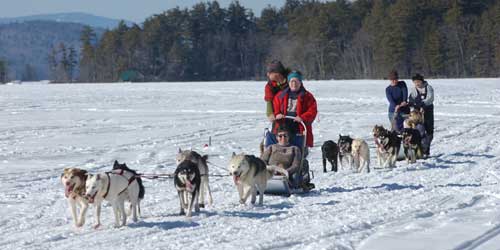 winter outdoor activities sledding me cross country dog sledding maine trails winter outdoor activities winter outdoor activities sledding me cross country dog sledding maine trails winter outdoor activities