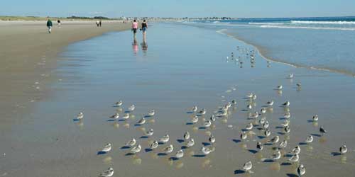 Beaches in Maine