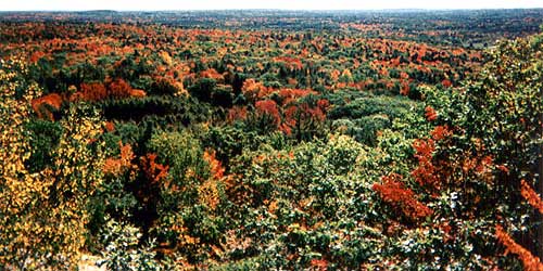 Foliage - Bradbury Mountain State Park - Pownal, ME - Photo Credit Maine Bureau of Parks & Lands