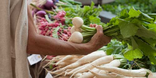 Maine farmers markets