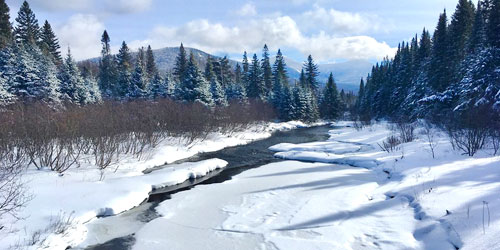 Snowy Scene - Baxter State Park - Millinocket, ME