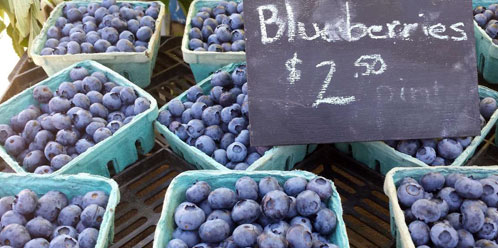 Lewiston Maine farmers market