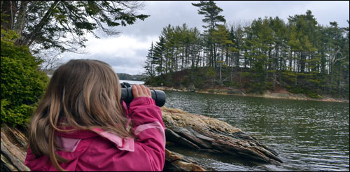 Wolfe's Neck Woods State Park - Freeport, ME