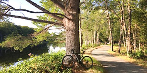 Penobscot River Trails