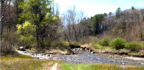 Mast Landing Audubon Sanctuary - Freeport, ME