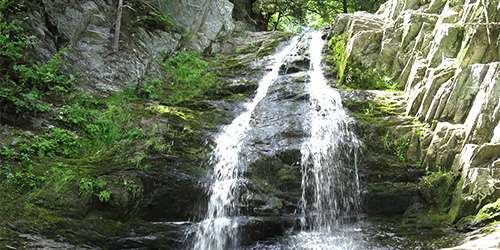 Cascade Falls Trail - Saco, ME