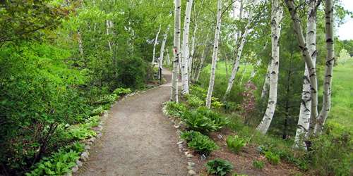 Trail - Viles Arboretum - Augusta, ME