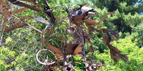 Art Trail - Viles Arboretum - Augusta, ME