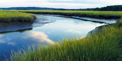 Scarborough Marsh Audubon Center - Scarborough, ME