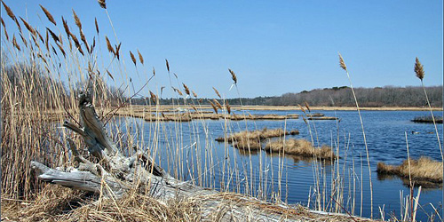 wells reserve at laudholm