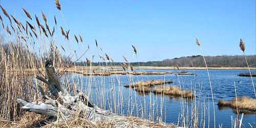 Wells National Estuarine Reserve at Laudholm Farm - Wells, ME