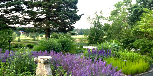 charlotte rhoades garden in maine