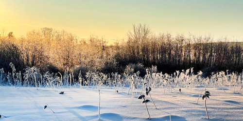 Winter View - Gilsland Farm Center of the Maine Audubon Society - Falmouth, ME