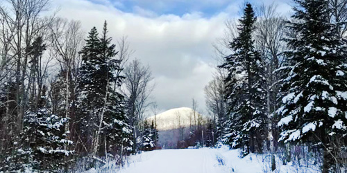 Rangeley Lakes Trails Center - Rangeley, ME