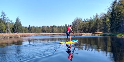 PADDLE BOARD IN MAINE