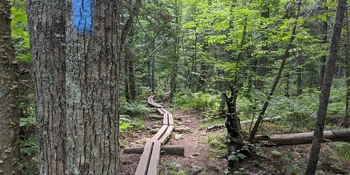 Blue Trail - Camden Hills State Park - Camden, ME - Photo Credit Greg Maassen