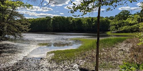 Vaughn Woods State Park - South Berwick, ME - Photo Credit Sam Jessurun