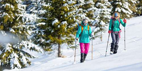 Cross Country Skiing at Camden Snow Bowl - Camden, ME