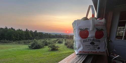 Apples at Five Fields Farm - Bridgton, ME