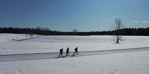 Cross Country Skiing at Harris Farm - Dayton, ME