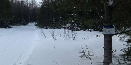 Birches Ski Touring Center - Rockwood, ME