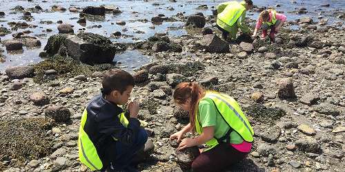 Field Trip at Acadia National Park - Bar Harbor, ME - Photo Credit National Park Service