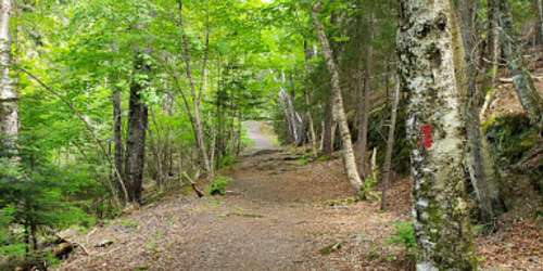 Hiking Trail at Shackford Head State Park - Eastport, ME