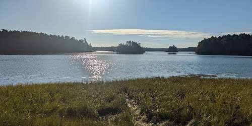 Cobscook Bay State Park - Dennysville, ME - Photo Credit Shannon Guilmet