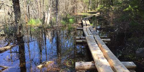 Hills to Sea Trail - Belfast, ME