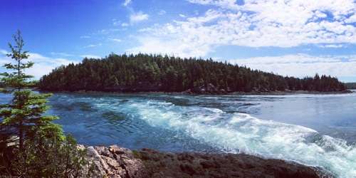 Reversing Falls Park - Pembroke, ME - Photo Credit Landon Knittweis