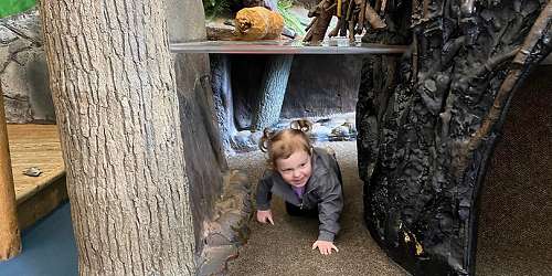 Maine Discovery Museum - Bangor, ME