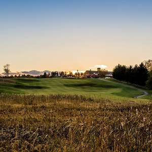 Golfing in the York Region