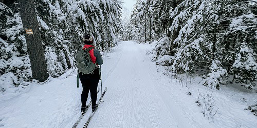 Cross Country Skiing - New England Outdoor Center - Millinocket, ME