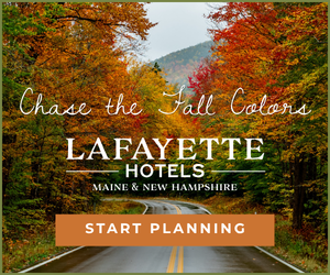 Lafayette Hotels
