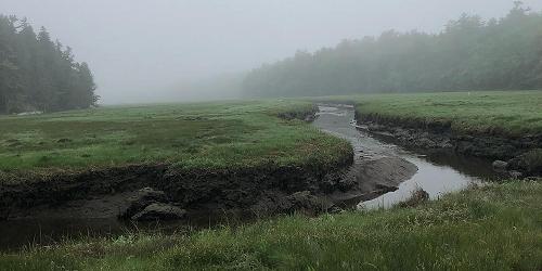 Bates-Morse Mountain Conservation Area - Phippsburg, ME