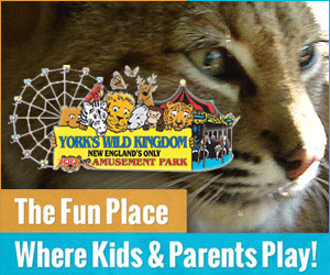 York's Wild Kingdom - New England's Only Zoo AND Amusement Park!