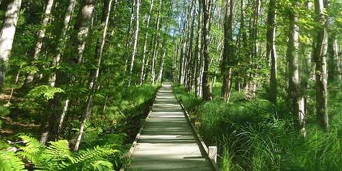 Jesup Path & Hemlock Road Loop Trail in Acadia National Park - Bar Harbor. ME